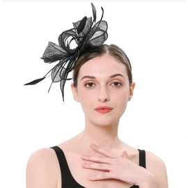 haozaikeji Fascinators Hat for Women Feather Wedding Hat Pillbox Hat Ladies Mesh Headband & Clip Retro Headpiece for Bridal, Church, Hen Party, Cocktail, Royal Ascot Race
