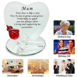 Mum Gift Glass Plaque Ideas for Mummy Mom Mother Birthday Anniversary Christmas Xmas Presents Mother's Day From son Daughter (Mum)