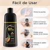 Black Hair Dye Shampoo 3 in 1, Shampoo Tinte para