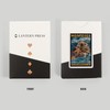 Lantern Press Monterey, California, Sea Otter, Mosaic (52 Playing Cards,