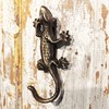 Anatolica Brass Gecko Door Knocker, 6.5 inches, Lizard Frontdoor Ornament,