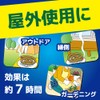 Golden Bird Swirls, Thick Rolls, Also Effective for Flies, 30