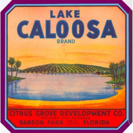 Park Tower Babson Park Lake Caloosa Florida Brand Orange Citrus Fruit Crate Label Print