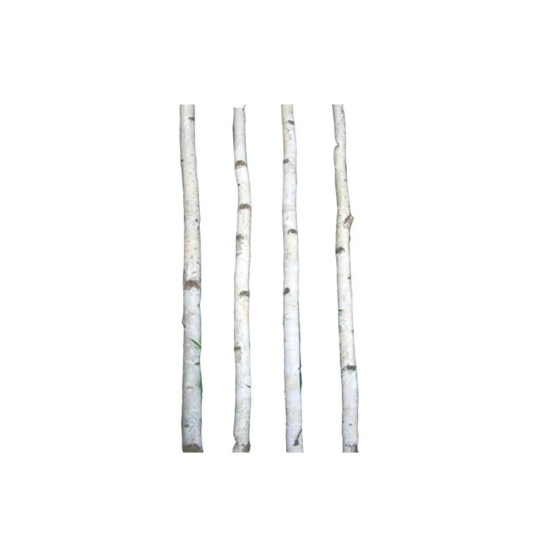 Four Thin White Birch Poles 7 ft