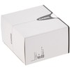 Casio LRW200H-7B Women's Diver Series Sports White Dial White Strap