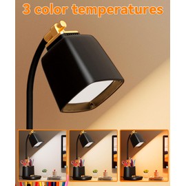 Desk Lamp with USB Charging Ports & Organizer, Small Table Lamps for Home Office/Bedroom/College Dorm Room, Eye-Caring LED Light W/USB Charger for Study/Reading/Artists/Work/Task,Gooseneck Desk Light