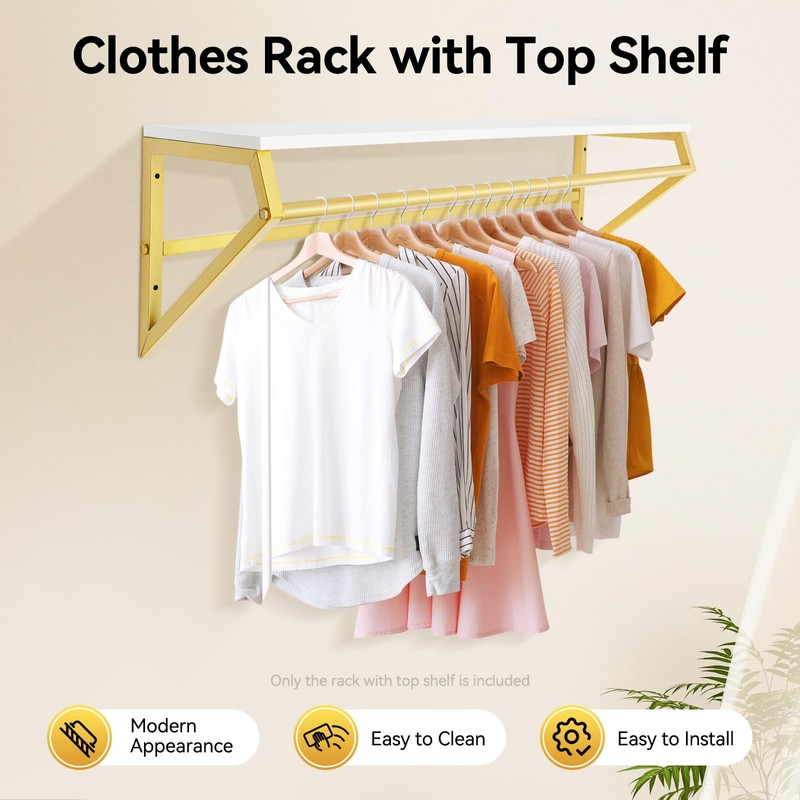ILWorkTLs Wall Mounted Clothes Rack with Top Shelf,Display Garment Rack,Heavy