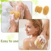 piezas de esponja de baño, esponjas marinas naturales para ducha,