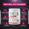 Creatina Monohidratada Mujer 5000mg Pre Entreno Bcaa
