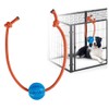 MVSSP Engaging Chew Toys for Dogs - Puppy Crate Training