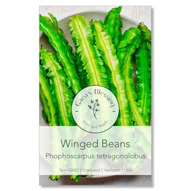 Gaea's Blessing Seeds - Winged Bean Seeds - Non-GMO Seeds with Easy to Follow Planting Instructions - Open-Pollinated, Heirloom, Untreated, Always Fresh