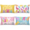 GEEORY Happy Easter Hello Peeps Throw Pillow Covers 12x20 Inch