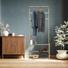 Simple Houseware Coat Rack with Storage Shelf, Champagne Gold