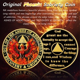 IELCJJ Delicate Phoenix 9 Year Sobriety Coin - Triangle Reborn from Fire AA Coins - Recovery Addiction AA Chips and Medallions - Celebrate 0-10 Years Clean and Sober Alcoholics Anonymous Gifts for Men Women