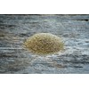 Hale Habitat & Seed Cave-in-Rock Switchgrass Native Grass Seed, Deer