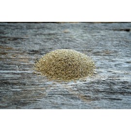 Hale Habitat & Seed Cave-in-Rock Switchgrass Native Grass Seed, Deer & Wildlife Cover, 2 lbs Pure Live Seed