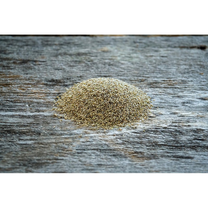 Hale Habitat & Seed Cave-in-Rock Switchgrass Native Grass Seed, Deer