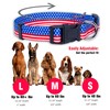 (Medium, Flag II) - Native Pup American Flag Dog Collar