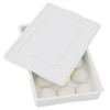 Xyskin White BPA Free Plastic Pizza Dough Proofing Box with