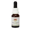 Yellow Cowslip Orchid 15 ml Stockbottle Australian Bush Flower Essences