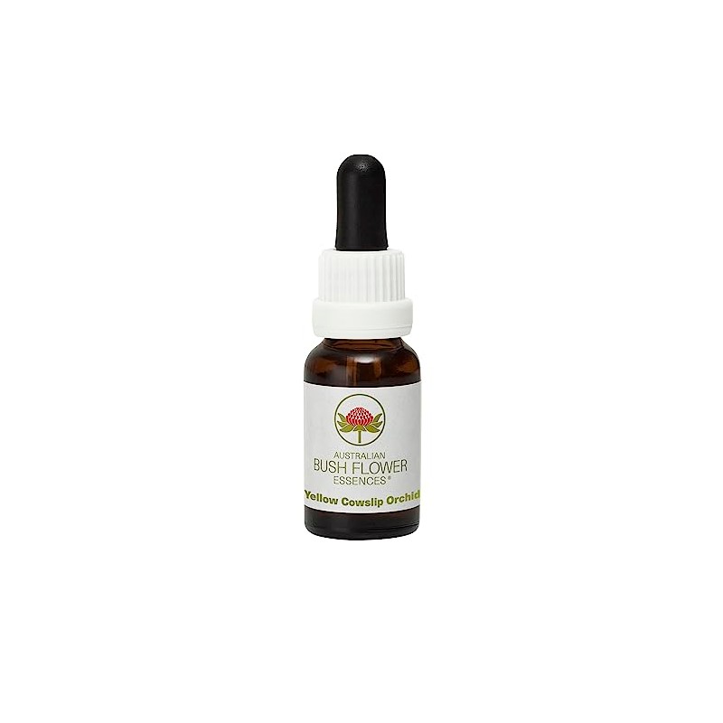 Yellow Cowslip Orchid 15 ml Stockbottle Australian Bush Flower Essences