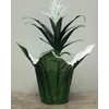 Queen of Wrap Premium 4.5" Pearlizedd Floral foil Plant Pot