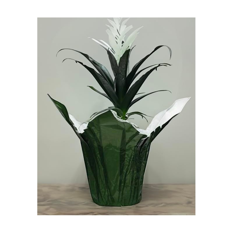 Queen of Wrap Premium 4.5" Pearlizedd Floral foil Plant Pot