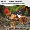 Chicken Saddle for Hens Chicken Aprons & Vest Jacket for
