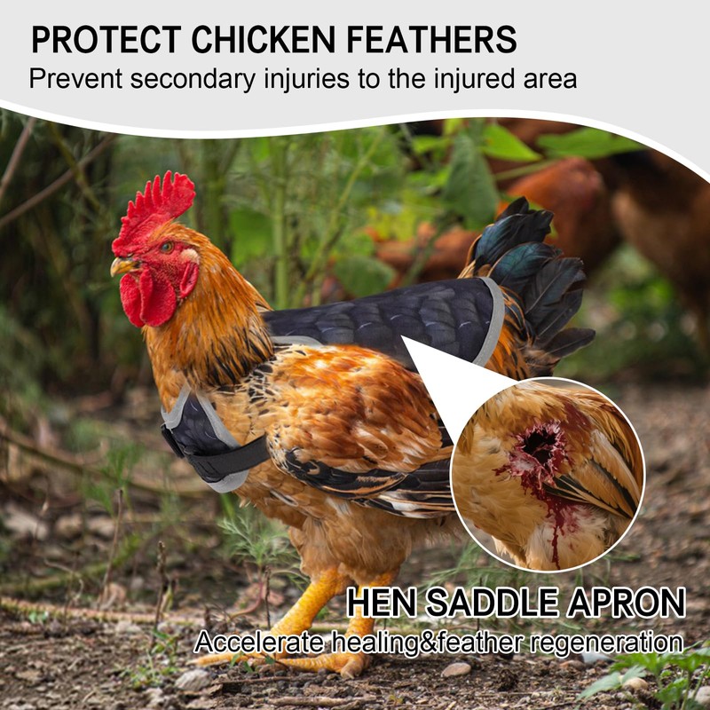 Chicken Saddle for Hens Chicken Aprons & Vest Jacket for
