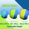 HoldOneLight Portable Golf Swing Trainer Ball, Posture & Motion Correction