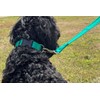 20ft 6m Horse Lunge Line Large Dog Training Lead Large