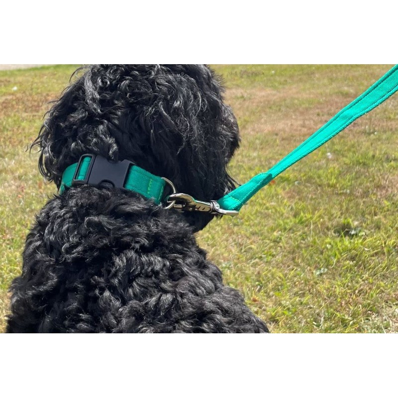 20ft 6m Horse Lunge Line Large Dog Training Lead Large