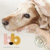 Buddy's Best Dog Shampoo for Smelly Dogs - Dog Shampoo