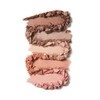 (100프로퓨어)프루트 피그먼티드 프리티 네이키드 팔레트 (100% Pure) Fruit Pigmented Pretty