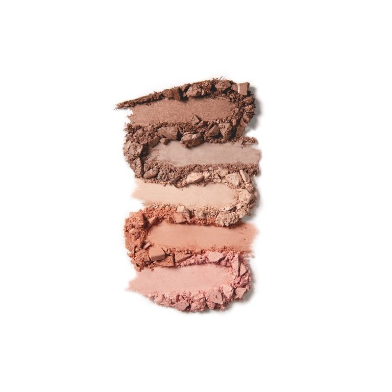 (100프로퓨어)프루트 피그먼티드 프리티 네이키드 팔레트 (100% Pure) Fruit Pigmented Pretty