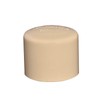 1/2" 10pcs CPVC Pipe Fittings End Cap Plug Slip Adapter
