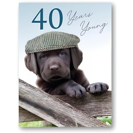 Noel Tatt - 40th Male Birthday Card - 40 Years Young Puppy Wearing Flat Cap - For Him, green, black, white, grey, 172 x 125 mm
