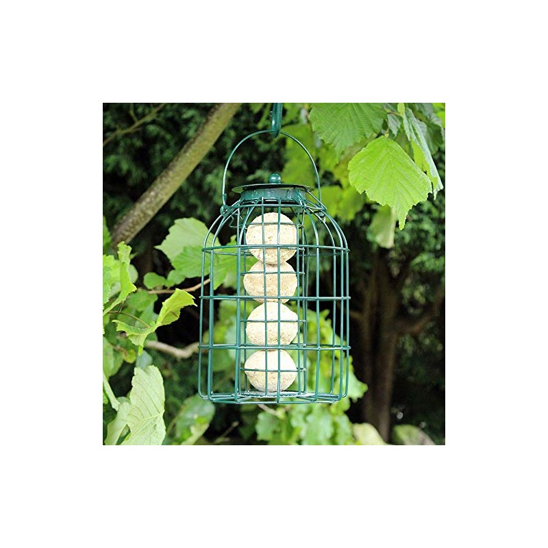 Natures Market BF008FB Squirrel Guard Hanging Fat Ball Feeder