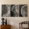 Renditions Gallery Circular Patterns Wall Art Monochrome Shadows Of Time