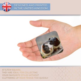 Destination Vinyl ltd Fridge Magnet - Cute Guinea Pig Love Pets Animal for Office, Cabinet and Whiteboard, Magnetic Stickers, 44777