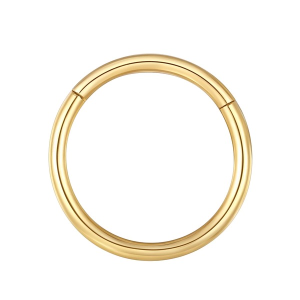 BLESSMYLOVE Nose Ring 316L, Surgical Steel, Cartilage Earring, Septum, Clicker,