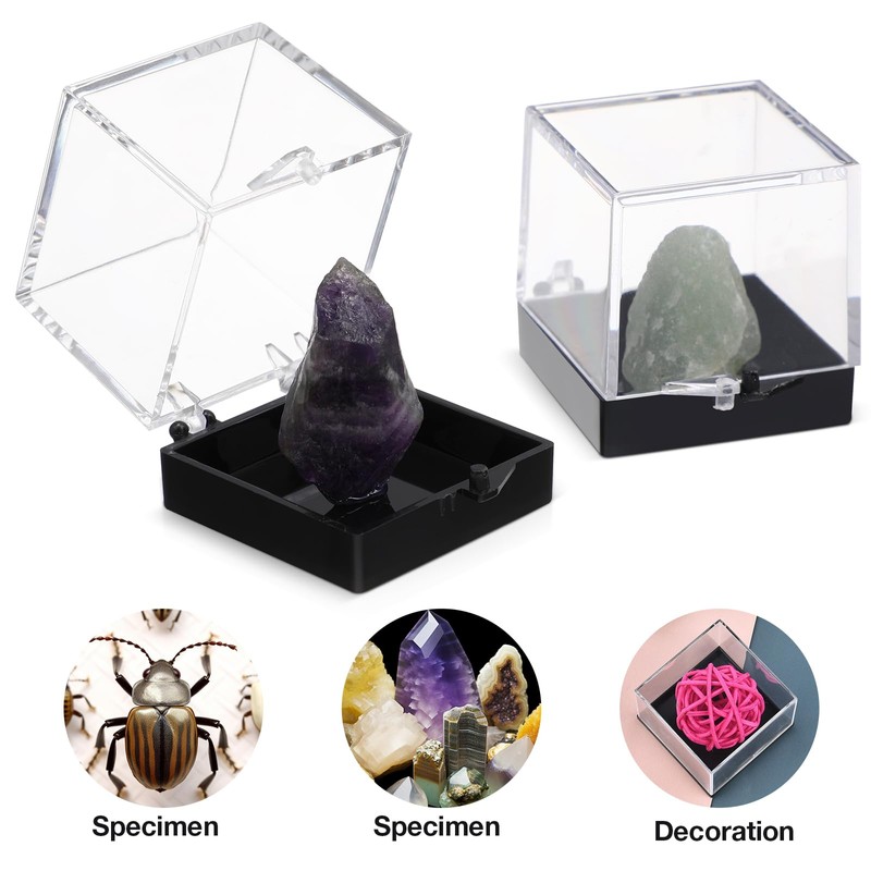 MAGICLULU 12pcs Specimen Box Specimen Display Box Mineral Specimen Container