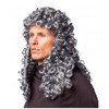 ORLOB KARNEVAL GmbH Curly Wig Judge Gray Nobleman Lord Nobleman