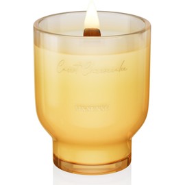 M&SENSE 16.6oz Natural Soy Large Jar Candle with Wooden Wick | Carrot Cheesecake Scent | 95-Hour Burn & Long-Lasting Burn | Easter Candle Gift