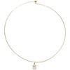 Collar Rígido de Acero Inoxidable Chapado en Oro con Dije