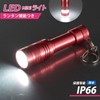 Ohm Electric Flashlight LED Mini Light Waterproof Light Red LH-MY41-R2