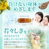 Ginza Marukan Mecha Young 93 Tablets, Saitou Hitsu Supplement, Royal
