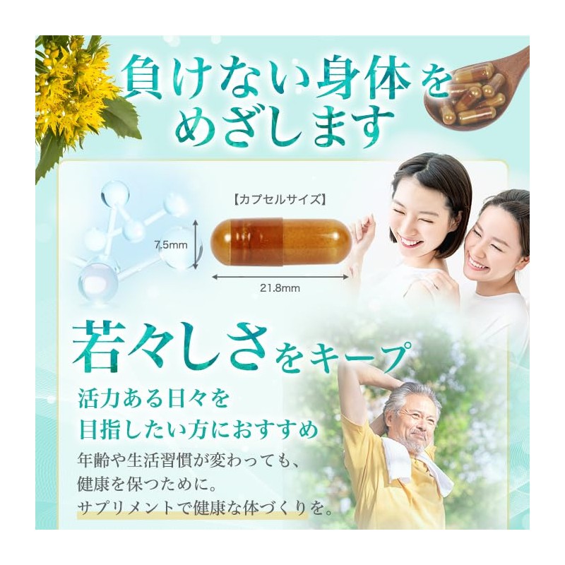 Ginza Marukan Mecha Young 93 Tablets, Saitou Hitsu Supplement, Royal