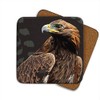 Golden Eagle - Set of 4 Coasters - Leslie Gerry