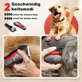 Hundeschermaschine mit Typ-C-Ladung, Profi Schermaschine Hund Katze, 2-Gang Elektrische Tierhaarschneidemaschine Wiederaufladbare Kabellose Hunderasierer für Lange, Dicke, Verfilzte Lockige Tierhaare